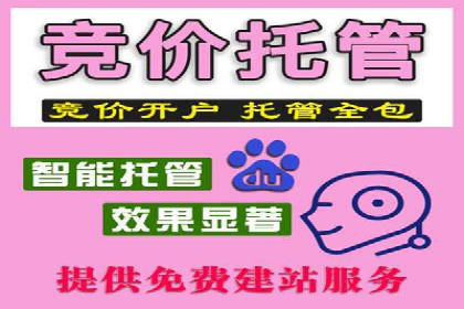 百度优化推广案例：打造行业领先品牌